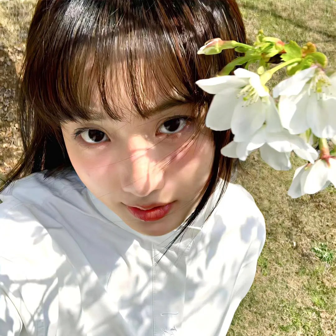 杏花三月天